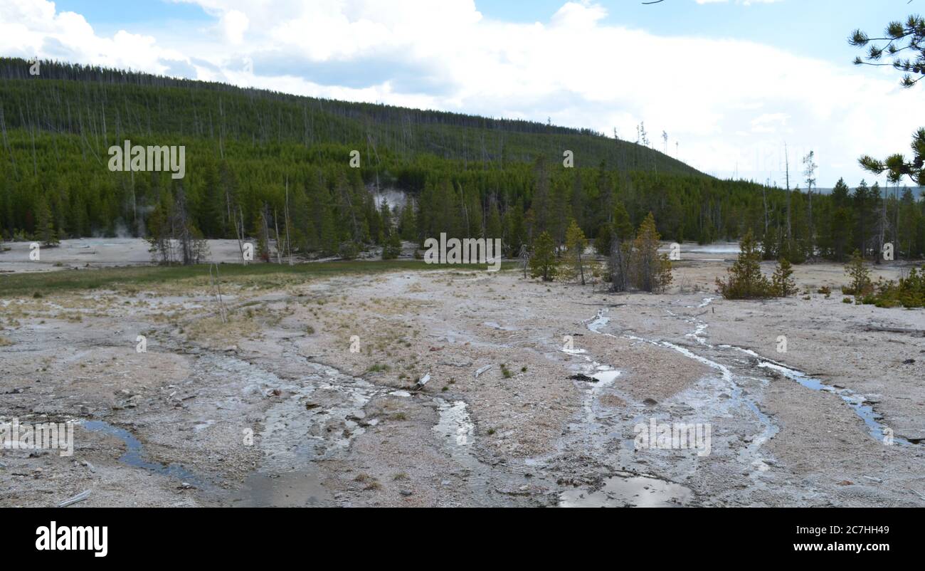 Spring in Yellowstone: Steamboat Geyser Drainage, Crater Spring, Arch Steam Vent Plume & Tantalus Spring in the Back Basin of Norris Geyser Basin Stock Photo