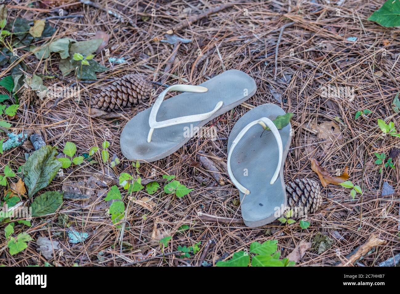 Flip-flops can be harmful when worn carelessly – The Denver Post