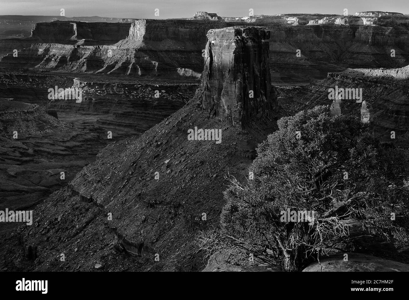 Greyscale shot of rock formations in the middle of the canyon Stock Photo