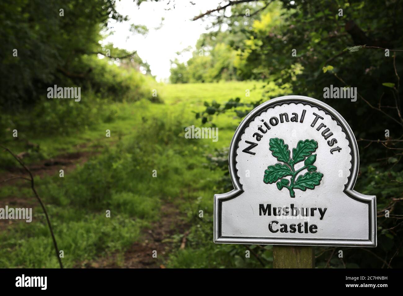 Musbury Castle ironage hill fort, Devon, England, Great Britain, United Kingdom, UK, Europe