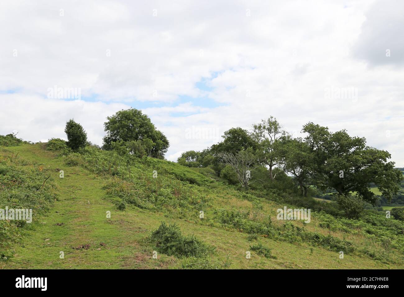 Earthworks at Musbury Castle ironage hill fort, Devon, England, Great Britain, United Kingdom