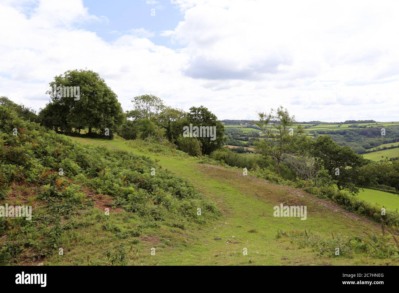 Earthworks at Musbury Castle ironage hill fort, Devon, England, Great Britain, United Kingdom