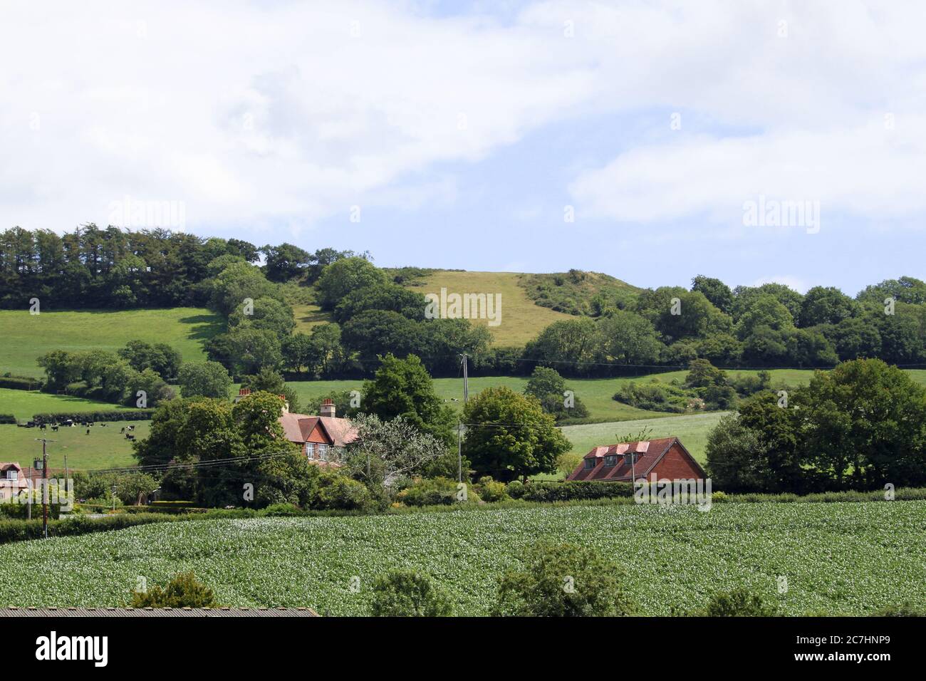 Musbury Castle ironage hill fort, Devon, England, Great Britain, United Kingdom, UK, Europe