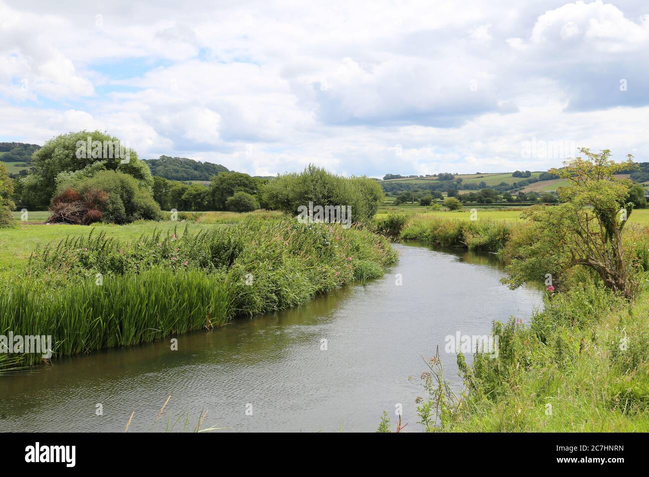 River axe musbury hires stock photography and images Alamy