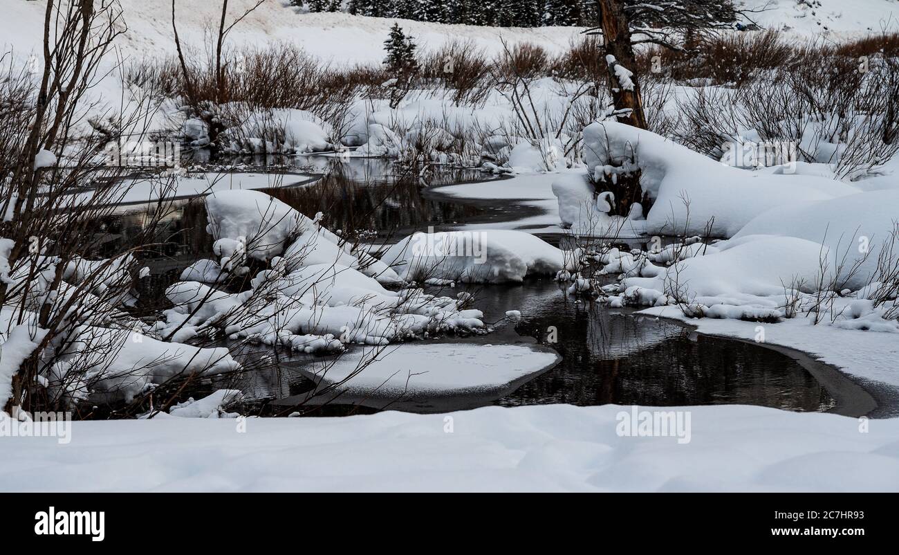 The forest to frozen rivers hi-res stock photography and images - Alamy