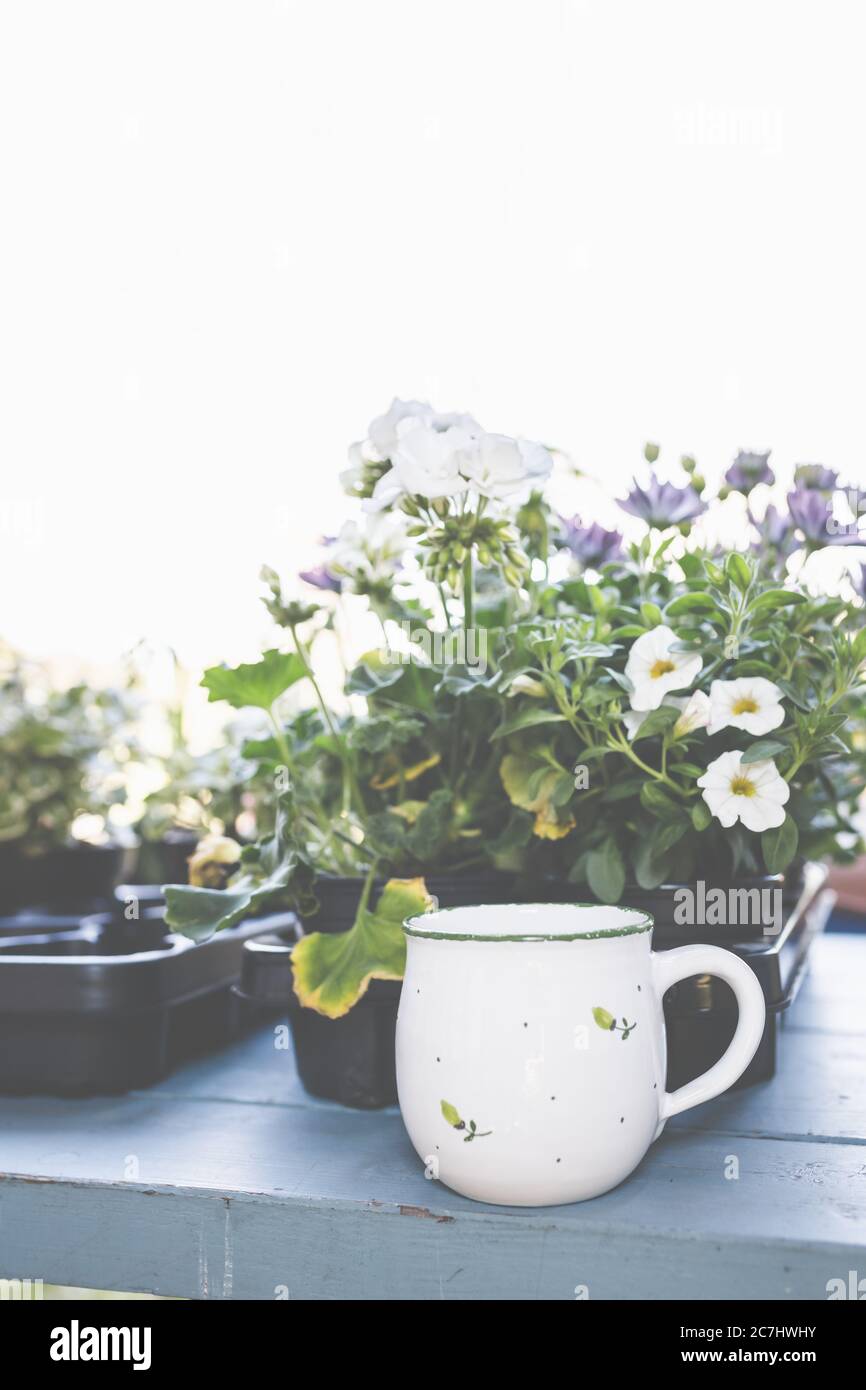Having a cup of coffee in the garden taking a break when gardening is also important. Stock Photo