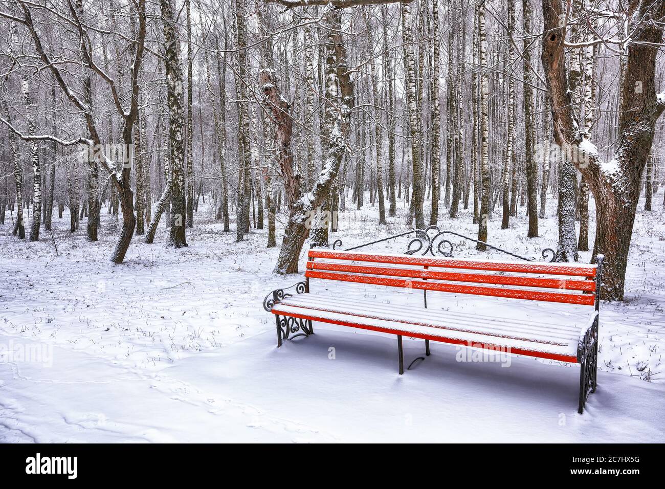 Park bench and trees covered by heavy snow. Lots of snow Stock Photo ...