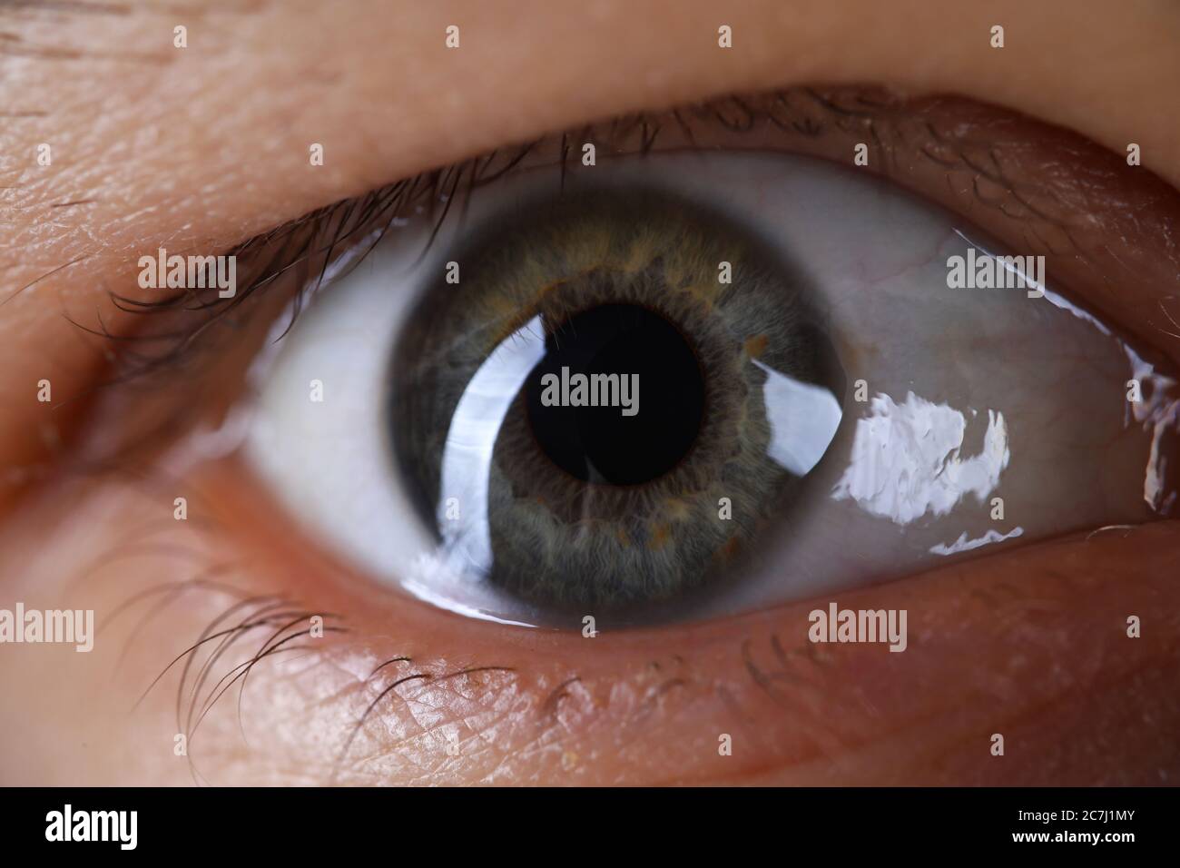 Green eyelid hires stock photography and images Alamy