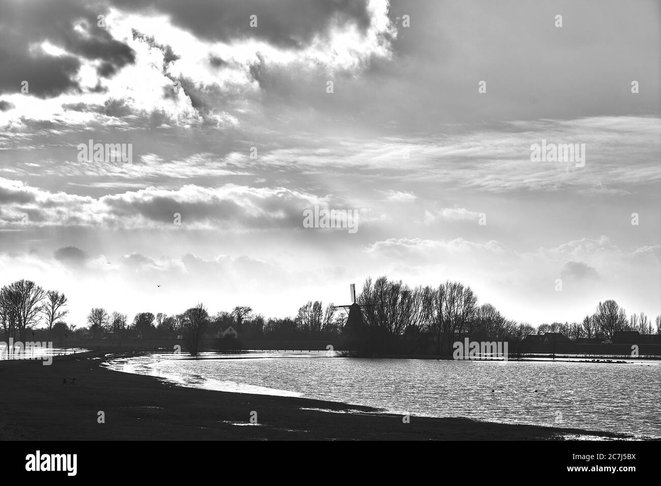 Greyscale shot of silhouettes of trees  and the lake under the cloudy sky with during the sunset Stock Photo