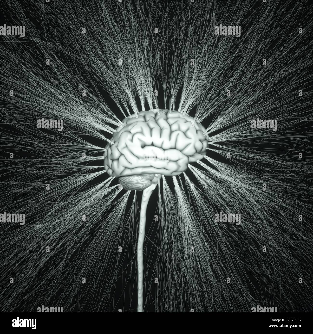 Human nervous system, illustration Stock Photo - Alamy