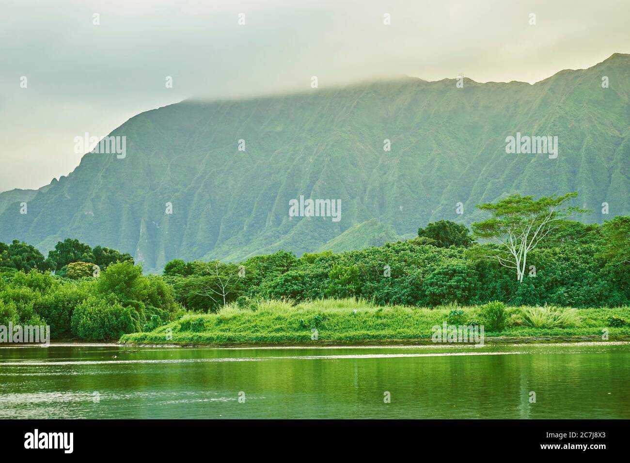 stream in the Kahaluu Regional Park, USA, Hawaii, Oahu Stock Photo