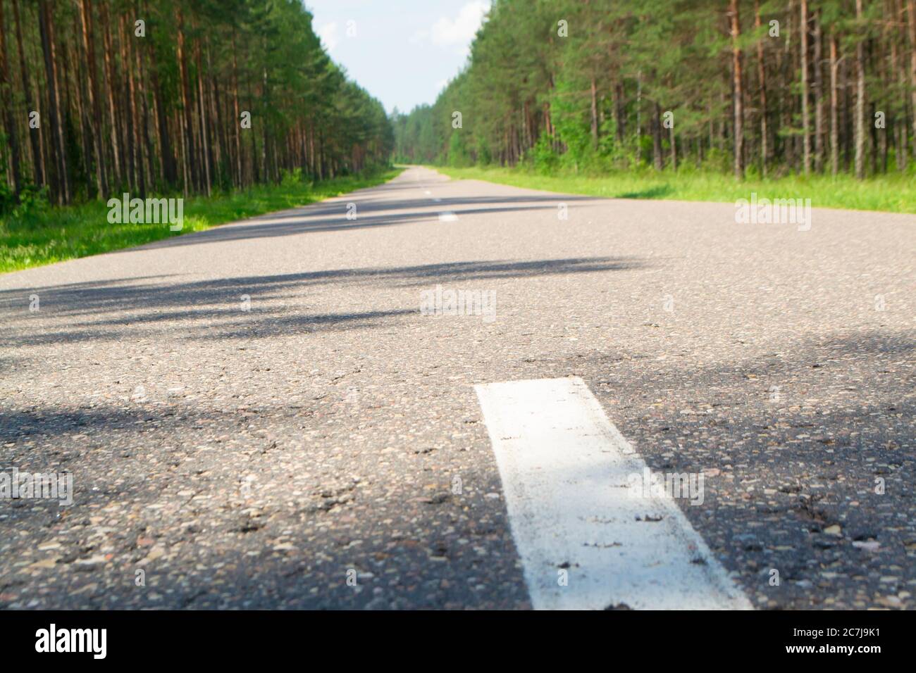 Summer country road with trees beside concept, landscape in Belarus Stock Photo