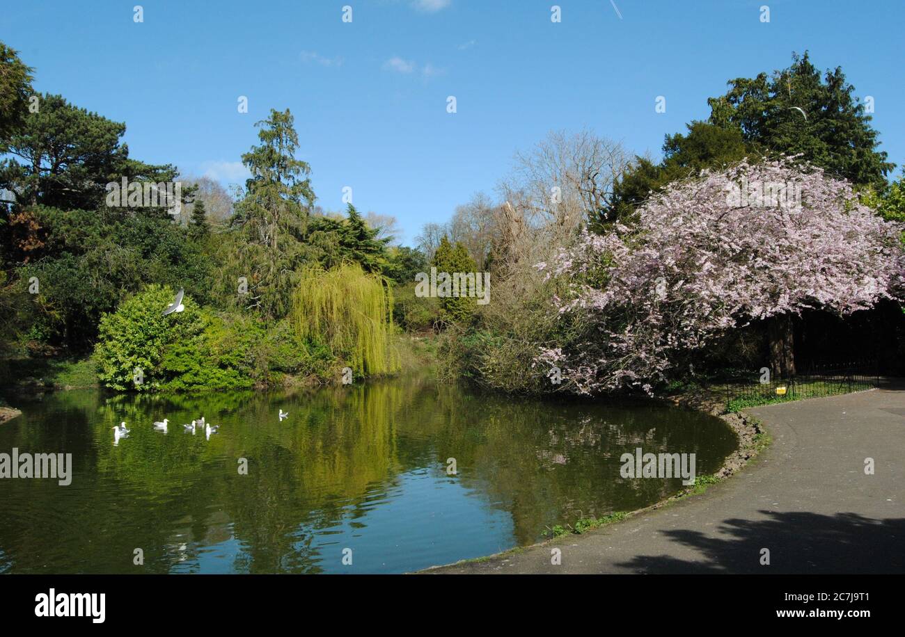 BATH, ENGLAND, UNITED KINGDOM - Mar 25, 2019: The Botanical Gardens ...