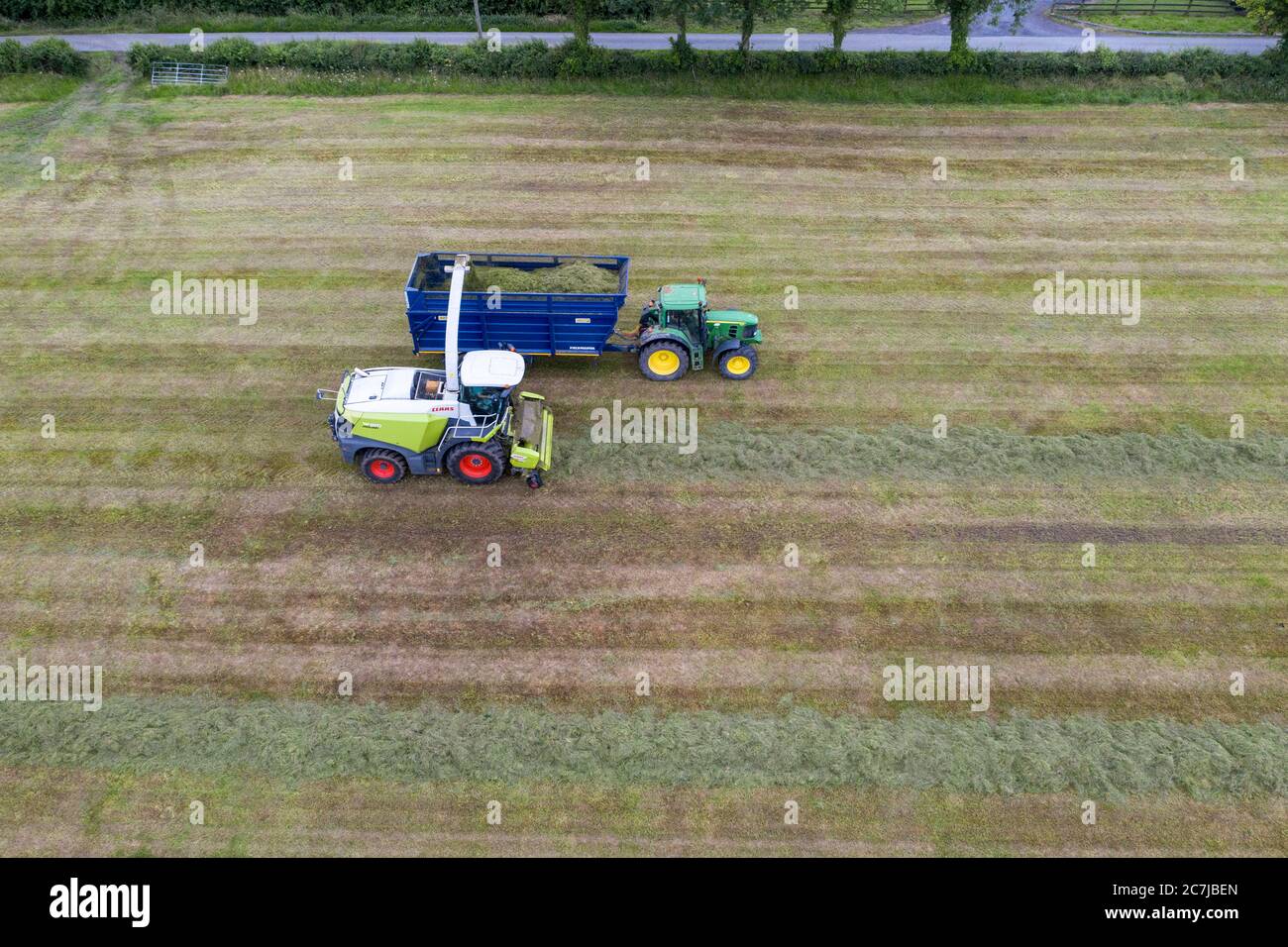 Aerial drone photograph of harvesting silage with the Class Jaguar 970 self-propelled harvester in rural County Kildare, Ireland Stock Photo