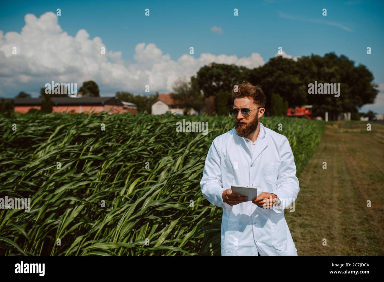 Male caucasian technologist agronomist with tablet computer in the corn ...