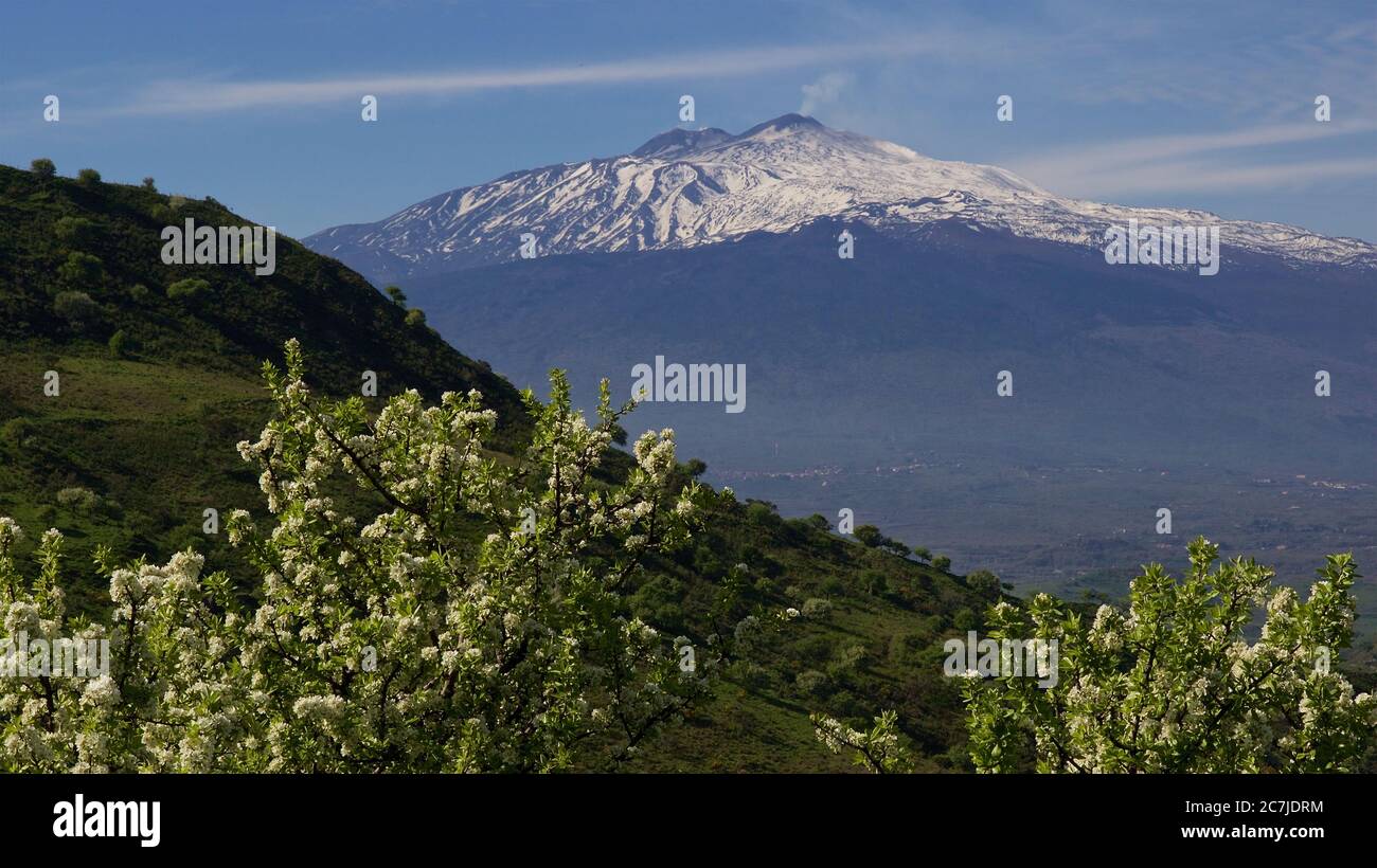 Etna, Etna National Park, Parco dell –´Etna, spring, yellow-green shrubs in the foreground, green hills in the middle, snow-covered Etna in the background Stock Photo