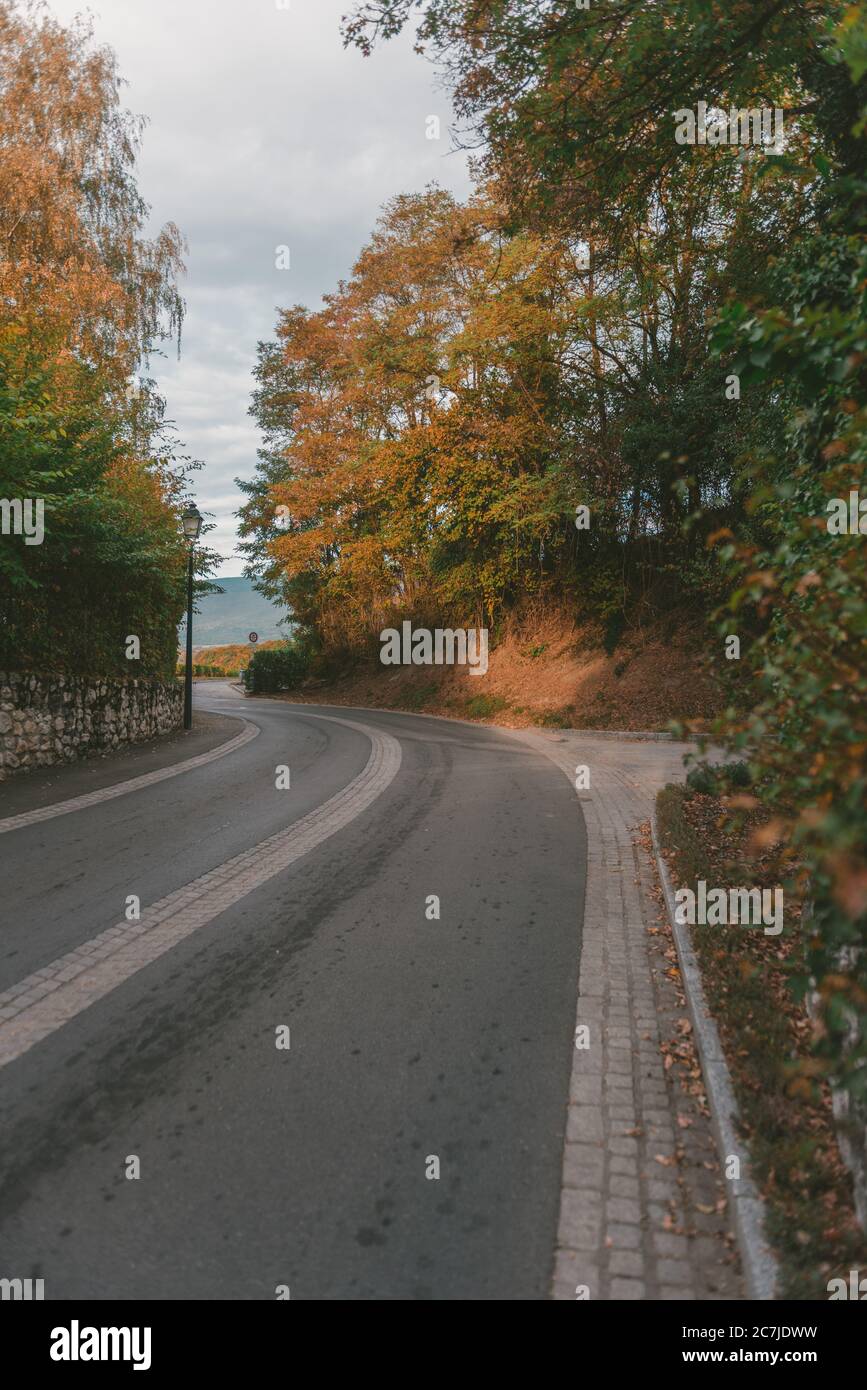Vertical shot of a narrow road surrounded by beautiful trees with ...