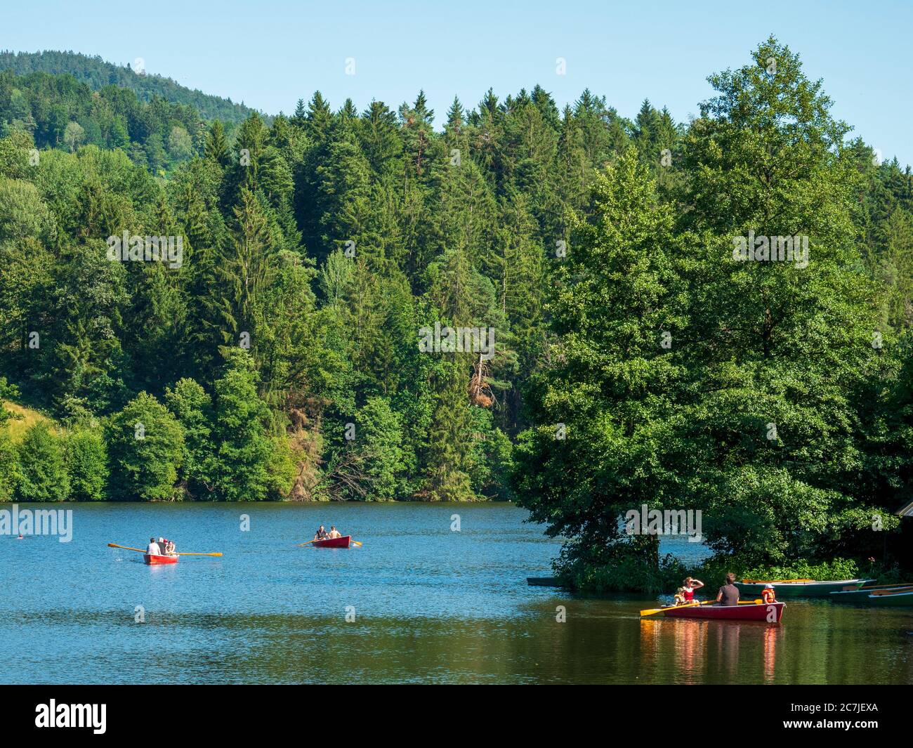 Höllensteinsee reservoir, Bavarian Forest, Bavaria, Germany Stock Photo