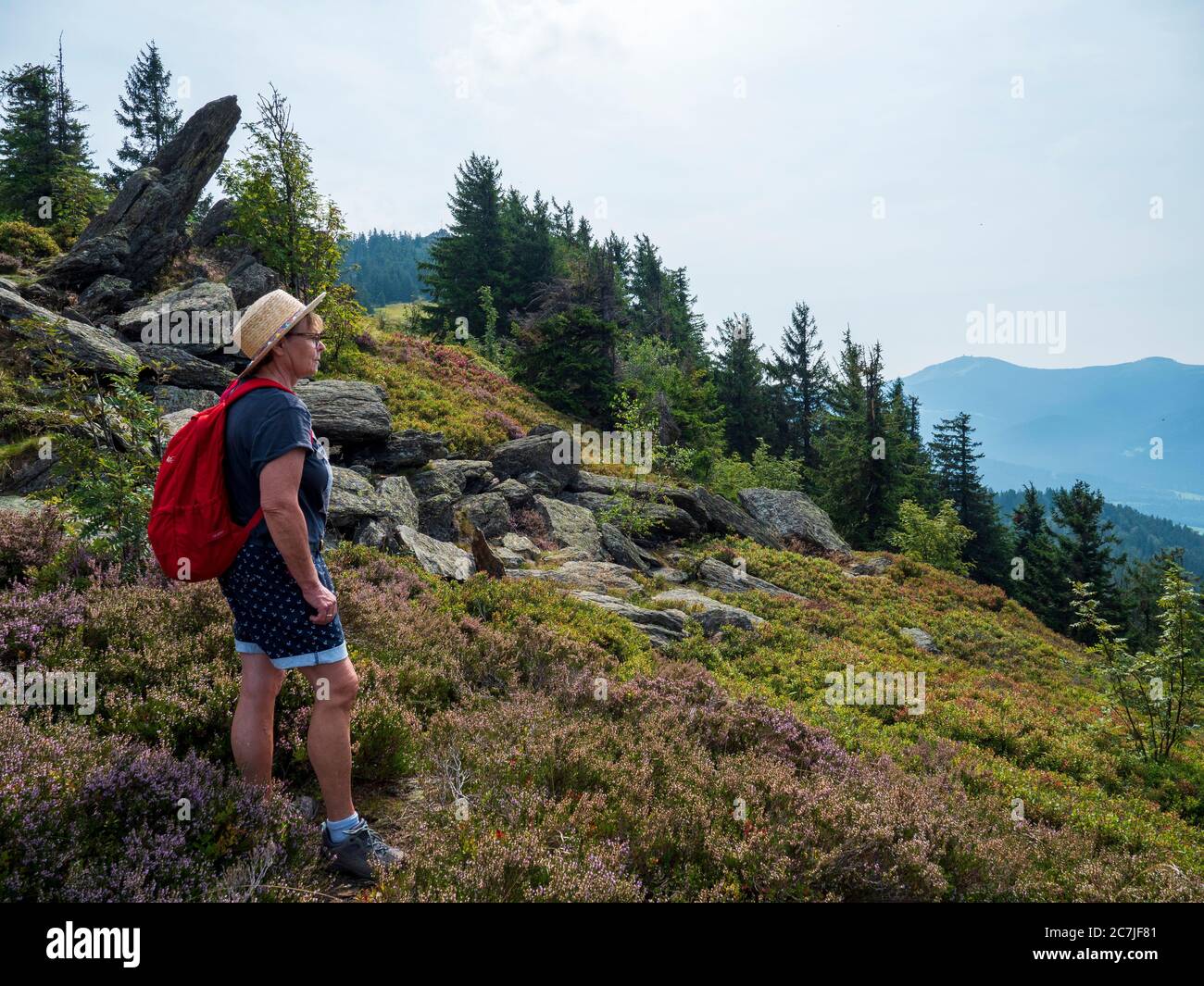 Hikers, Little Osser, Bavarian Forest, Bavaria, Germany Stock Photo