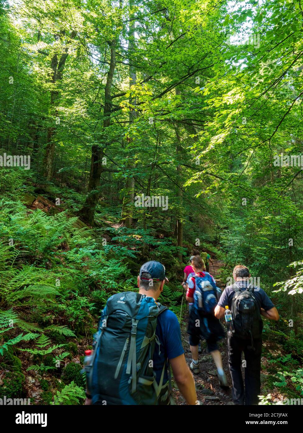 Hikers at Höllbachspreng, National Park, Bavarian Forest, Bavaria, Germany Stock Photo