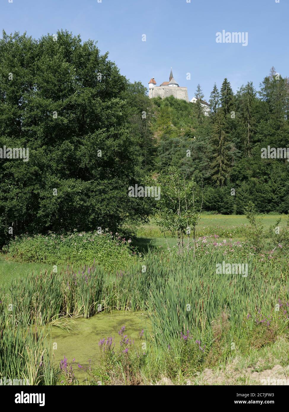 View of Ranfels castle complex, Bavarian Forest, Bavaria, Germany Stock Photo