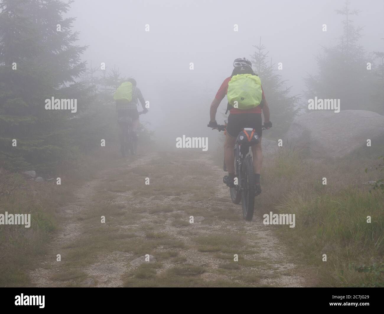 Goldsteig on Dreisesselberg in the fog, Bavarian Forest, Bavaria, Germany Stock Photo