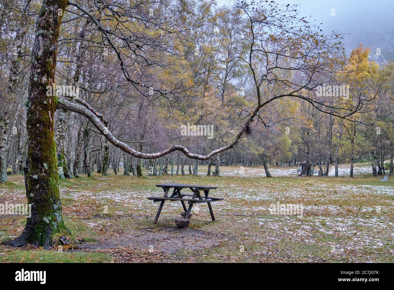 Covao D'Ametade park covered in greenery and fog during the autumn in Portugal Stock Photo