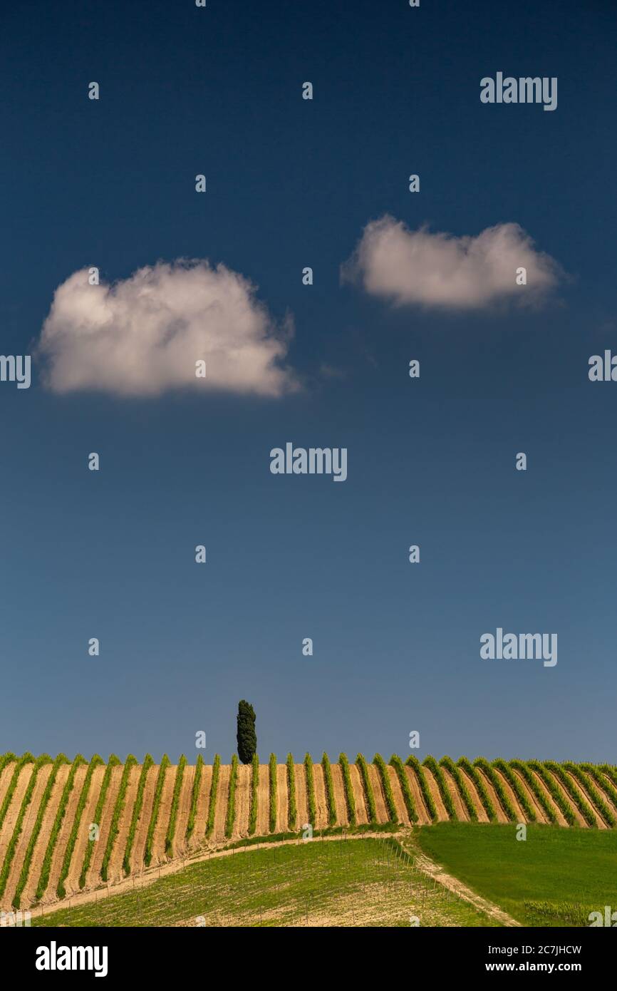 Vertical shot of an agricultural field in the countryside Stock Photo ...