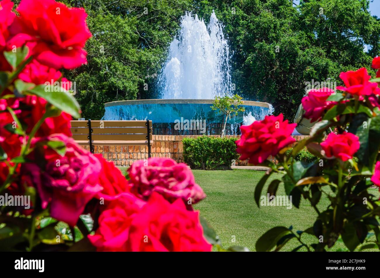 Roses are planted around the fountain at Fairhope Municipal Pier, July 11, 2020, in Fairhope, Alabama. Stock Photo