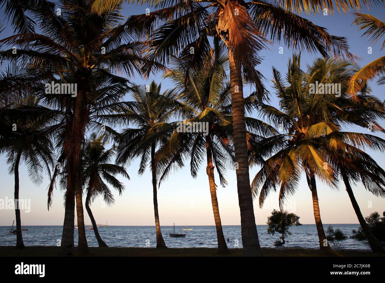 Vilankulos, Mozambique The view from Vilankulos beach showing boats, vegetation and the Indian Ocean, Vilankulos, Inhambane, Stock Photo