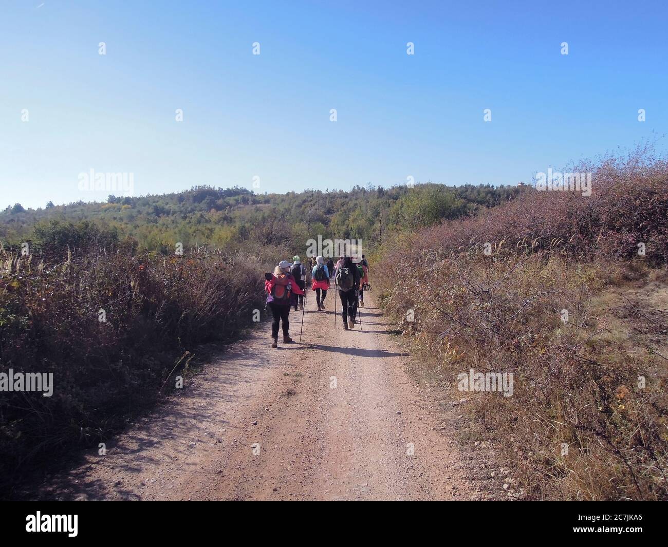 Group young hikers trekking hi-res stock photography and images - Alamy