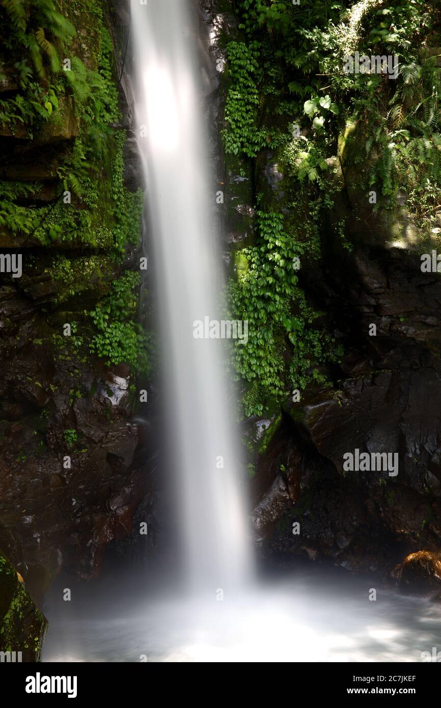 Beautiful waterfall in the green forest in the jungle, Waterfall in the mountains, Tropical forest with waterfall, Philippines, Camiguin, Travel concept Stock Photo