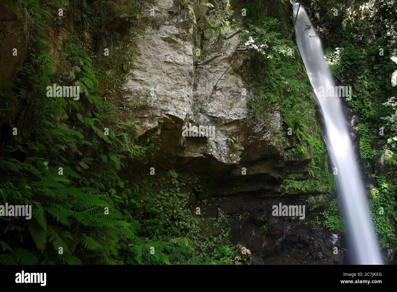 Beautiful waterfall in the green forest in the jungle, Waterfall in the mountains, Tropical forest with waterfall, Philippines, Camiguin, Travel concept Stock Photo