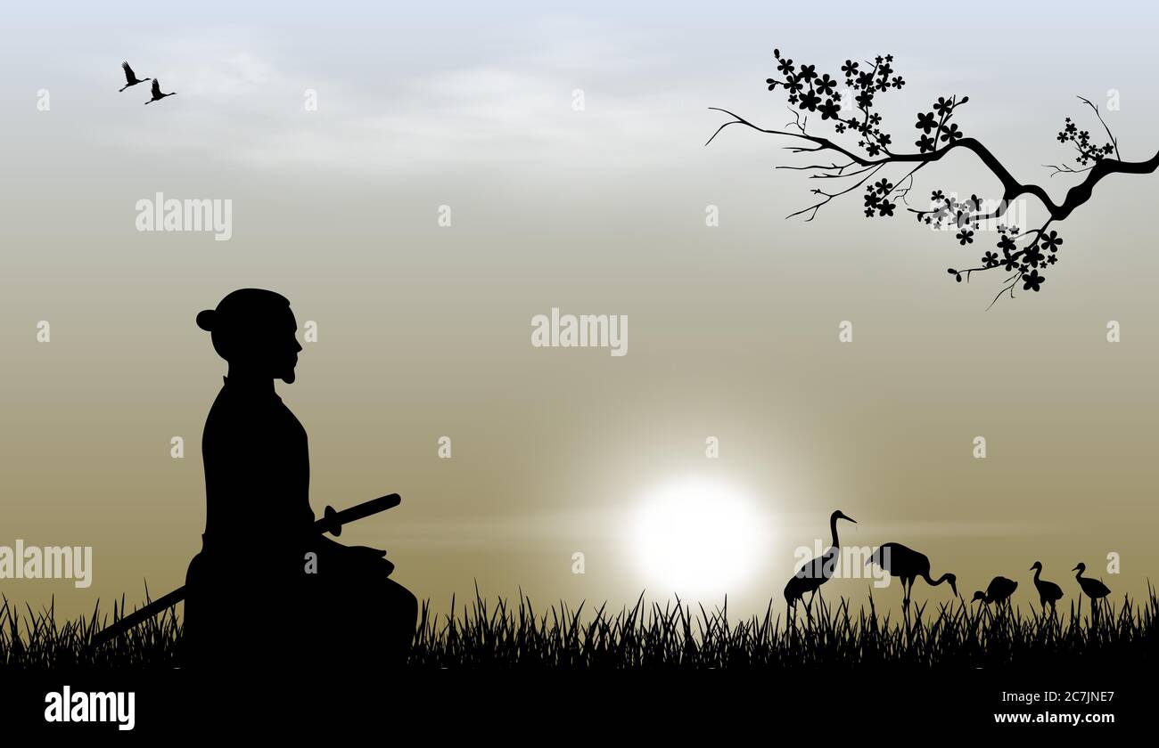 Samurai with a sword sits on the grass against the backdrop of the sky and the sun. Japanese cranes are visible in the distance. Sakura tree branch. Stock Vector