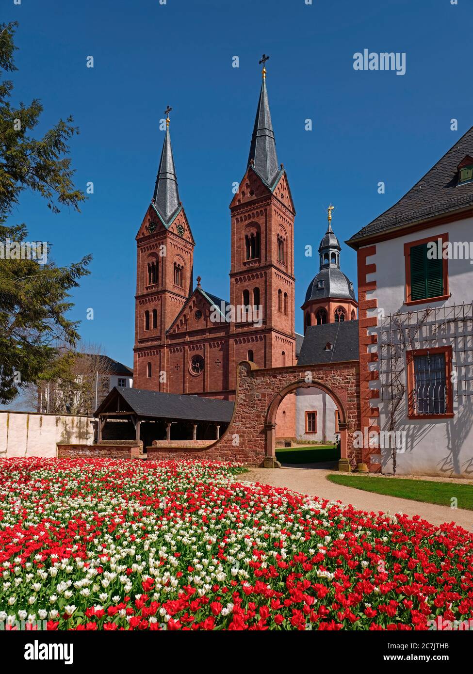 Church of St. Marcellinus and Petrus, view from the southwest, Einhard basilica, white and red tulips, Seligenstadt, Hessen, Germany Stock Photo