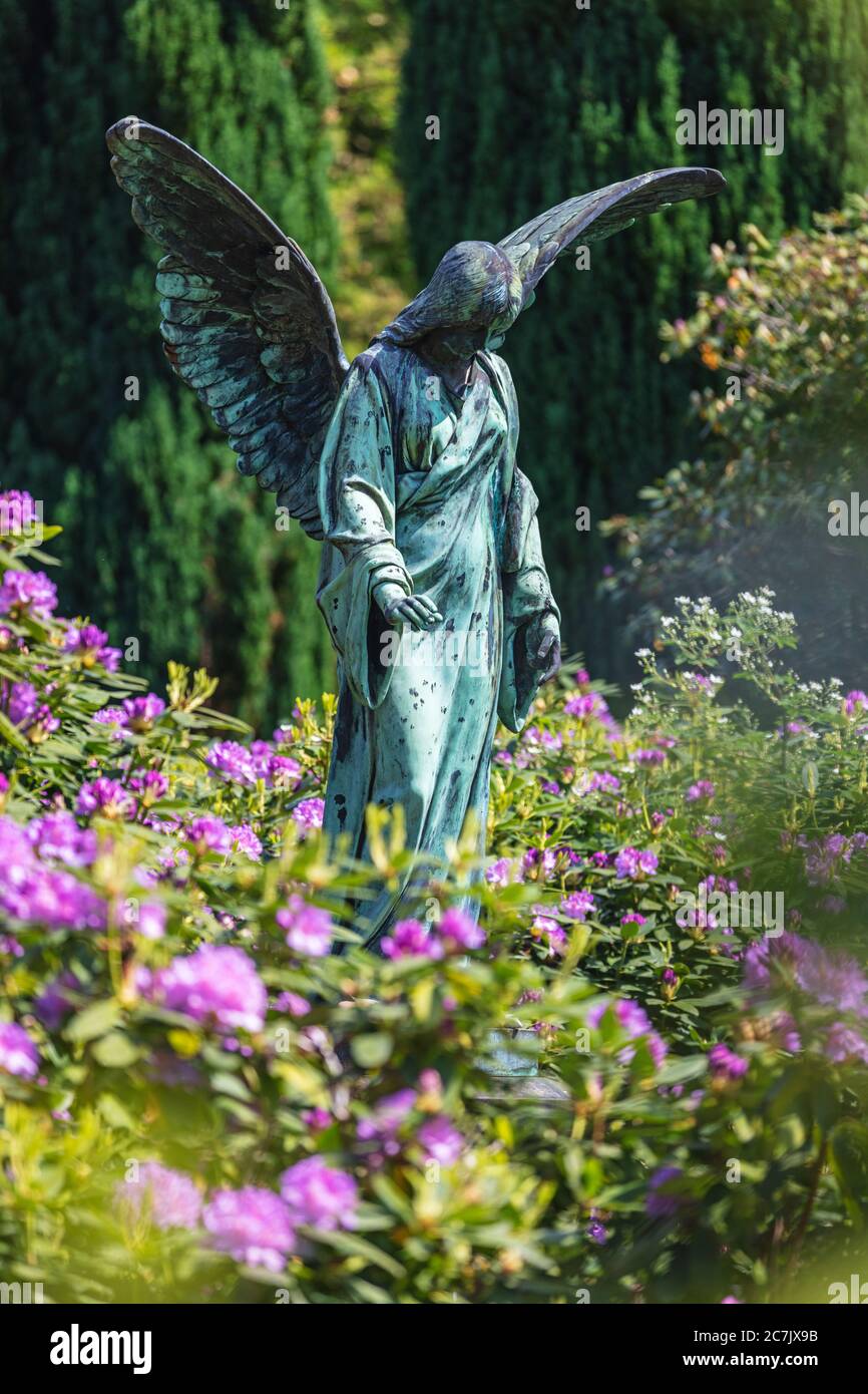 Angel statue, rhododendron blossom, Ohlsdorf cemetery, Hamburg Stock ...