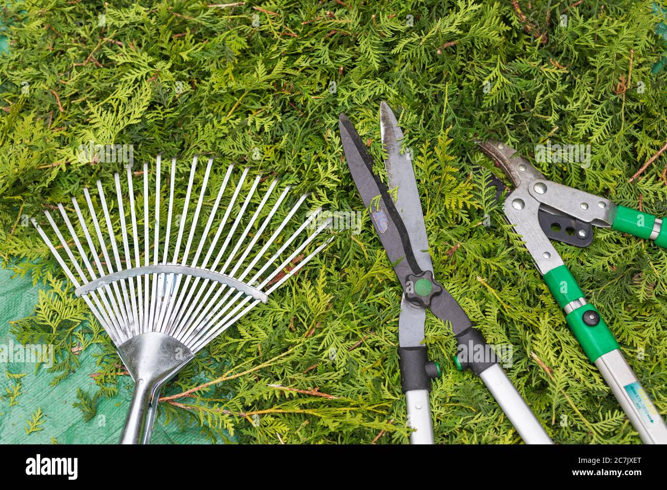Thuja clippings, anvil pruning shears, hedge trimmers, garden rakes, garden, Wilhelmshaven, Stock Photo