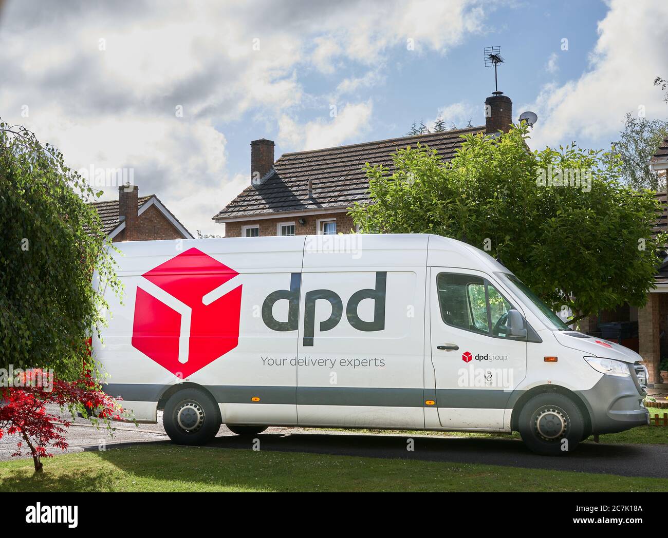Dpd logo online