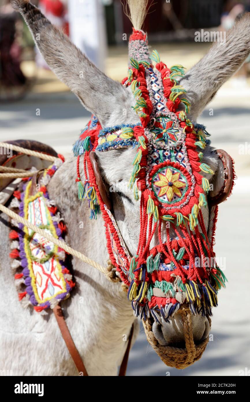 Donkey Costume High Resolution Stock Photography And Images Alamy