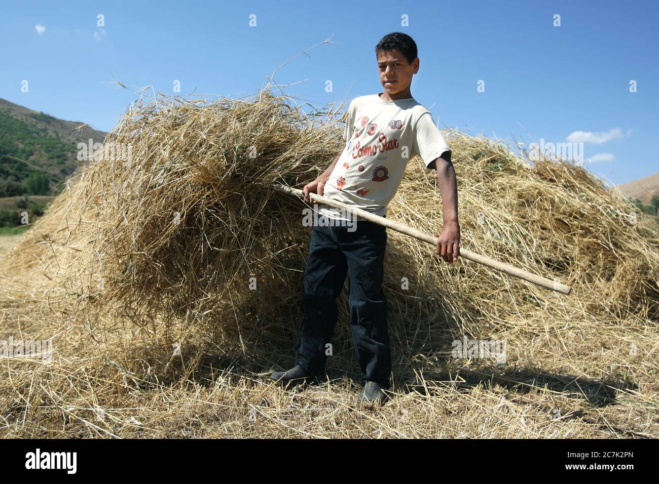 A Kurdish boy works stacking hay with a pitch fork on his family farm in the early morning near Tatvan in the far east of Turkey. Stock Photo