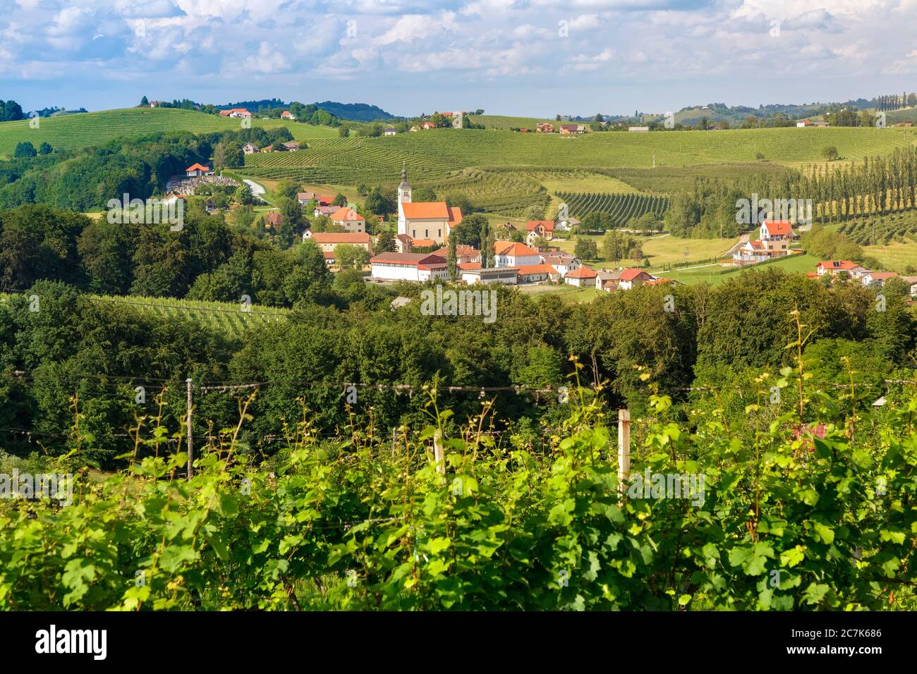 the small village of Miklavz pri Ormozu in the wine growing region of Jeruzalem, Municipality of Ormoz, Slovenian Styria, Slovenia Stock Photo