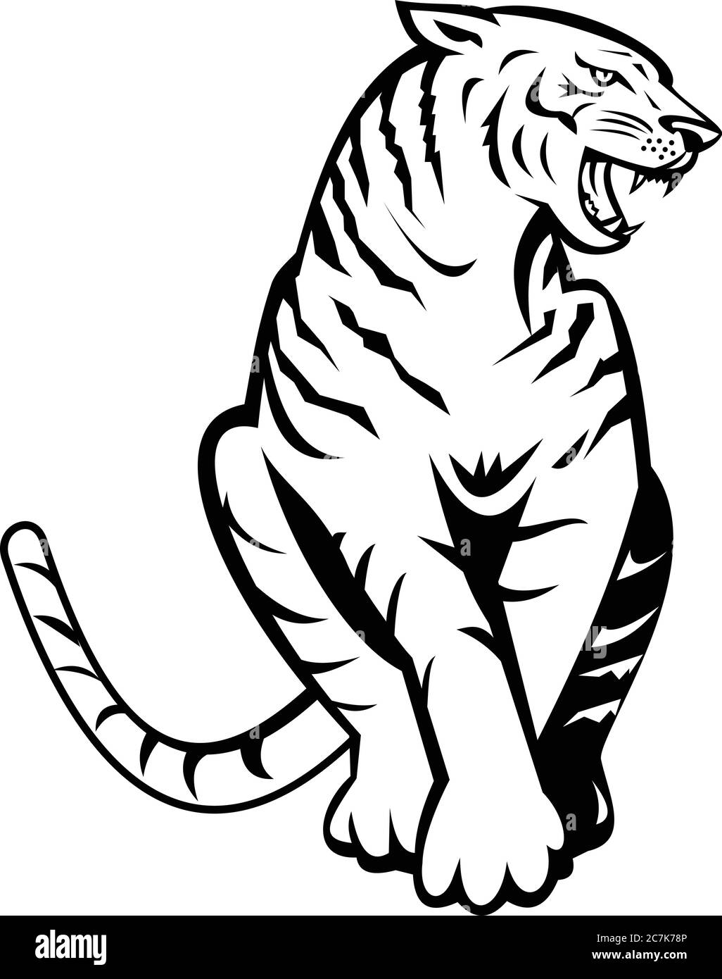 Panthera tigris tigris on white Stock Vector Images - Alamy