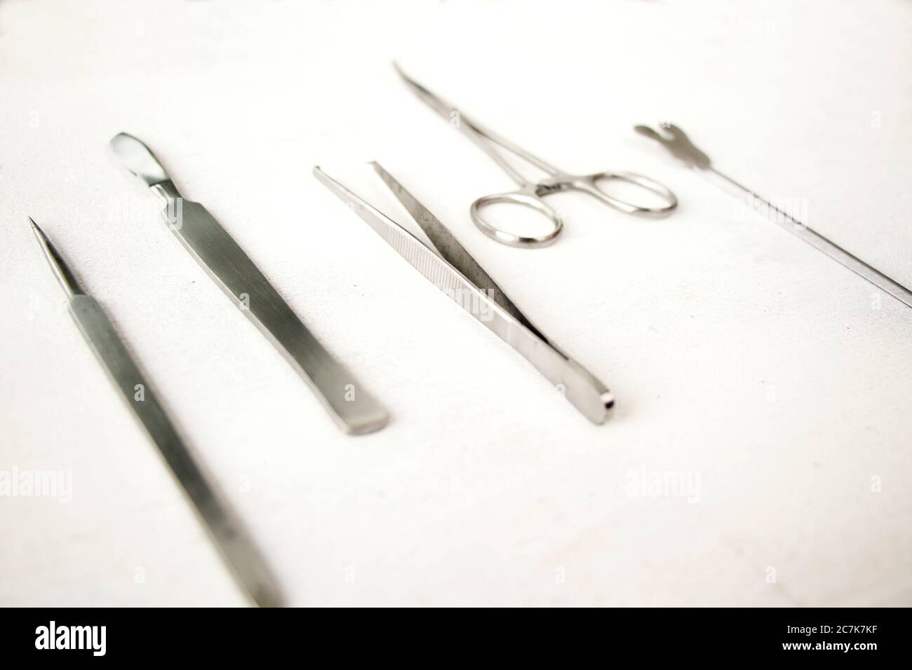Dissection Kit - Premium Quality Stainless Steel Tools for Medical ...