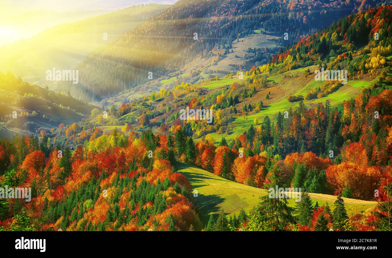Bright sunny weather hi-res stock photography and images - Alamy