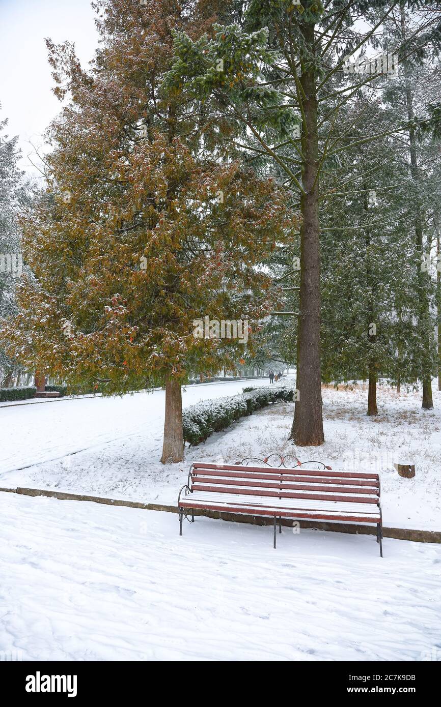 Park bench and trees covered by heavy snow. Lots of snow Stock Photo ...