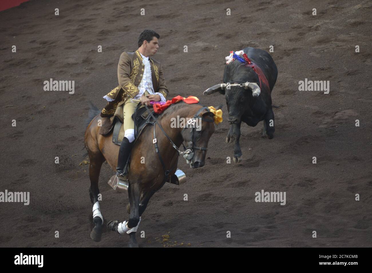 Bullfighting in Graciosa Island, Azores, Portugal Stock Photo