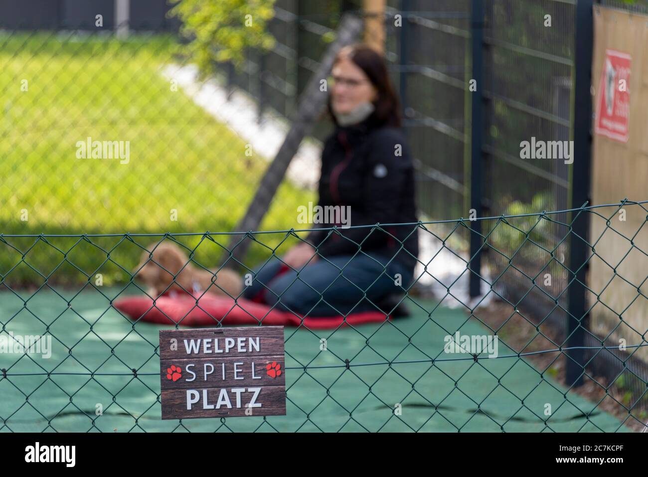 Puppy playground, dog school Stock Photo Alamy