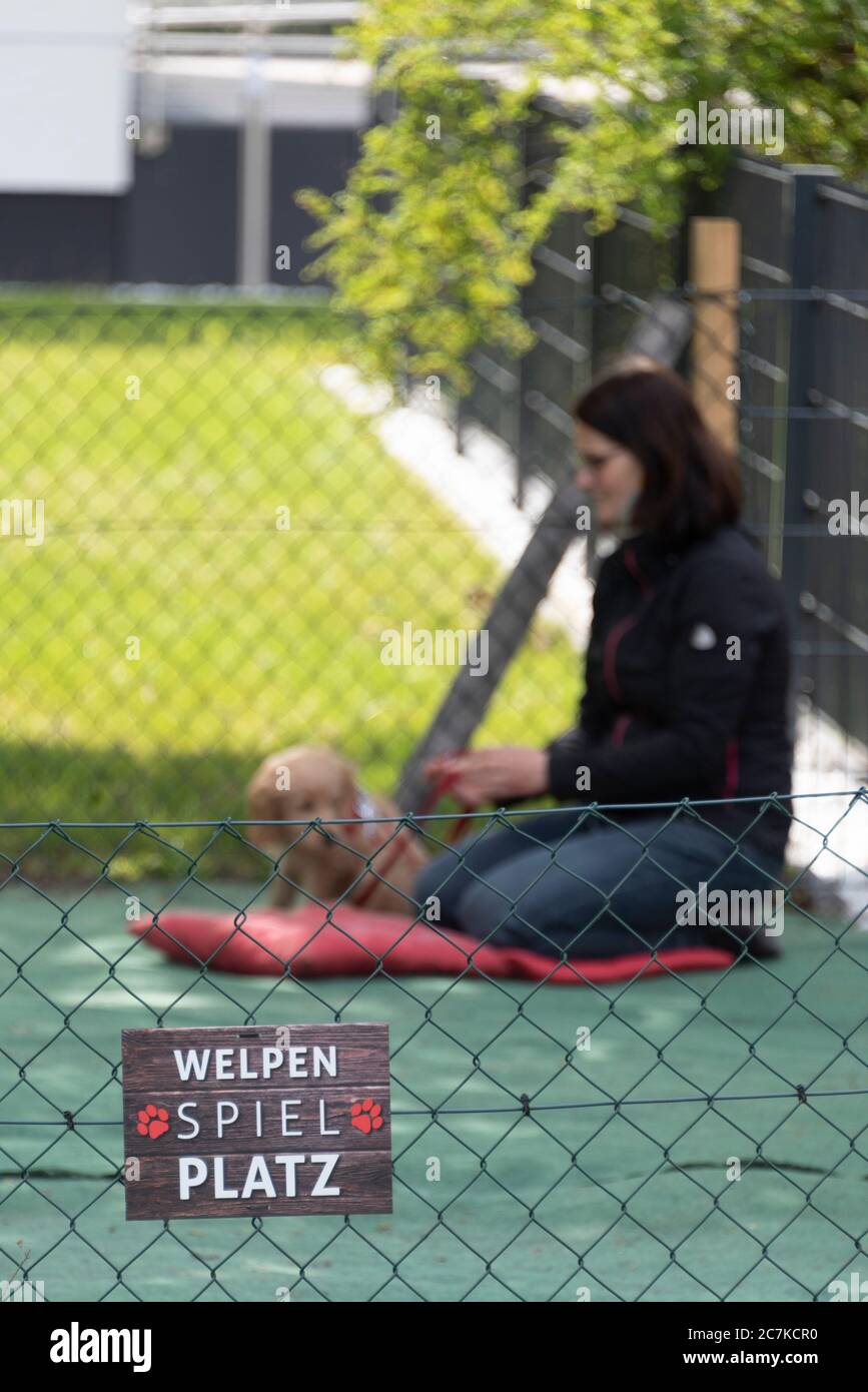 Puppy playground, dog school Stock Photo Alamy