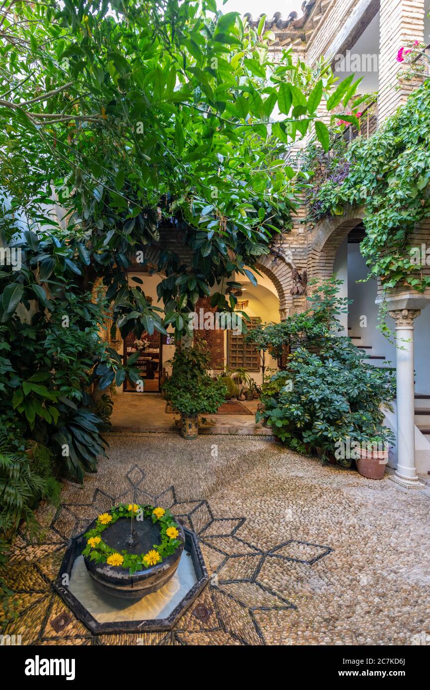 The porticoed patio, with its fountain, in Córdoba's La Casa Andalusi. Stock Photo