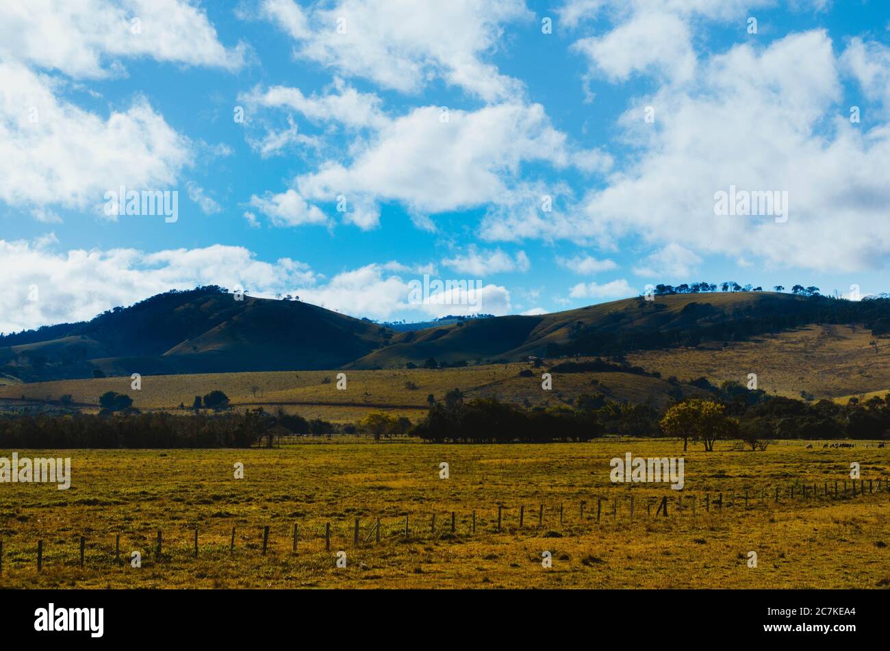 Dramatic view of Minas Gerais hills and farms in different tones of green. Stock Photo